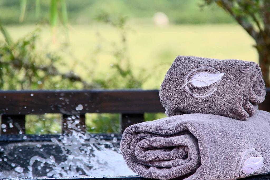 Le Domaine Des Pres Verts Suites & Chambres Avec Jacuzzi Privatif Jouey エクステリア 写真